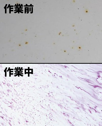 鉄粉除去